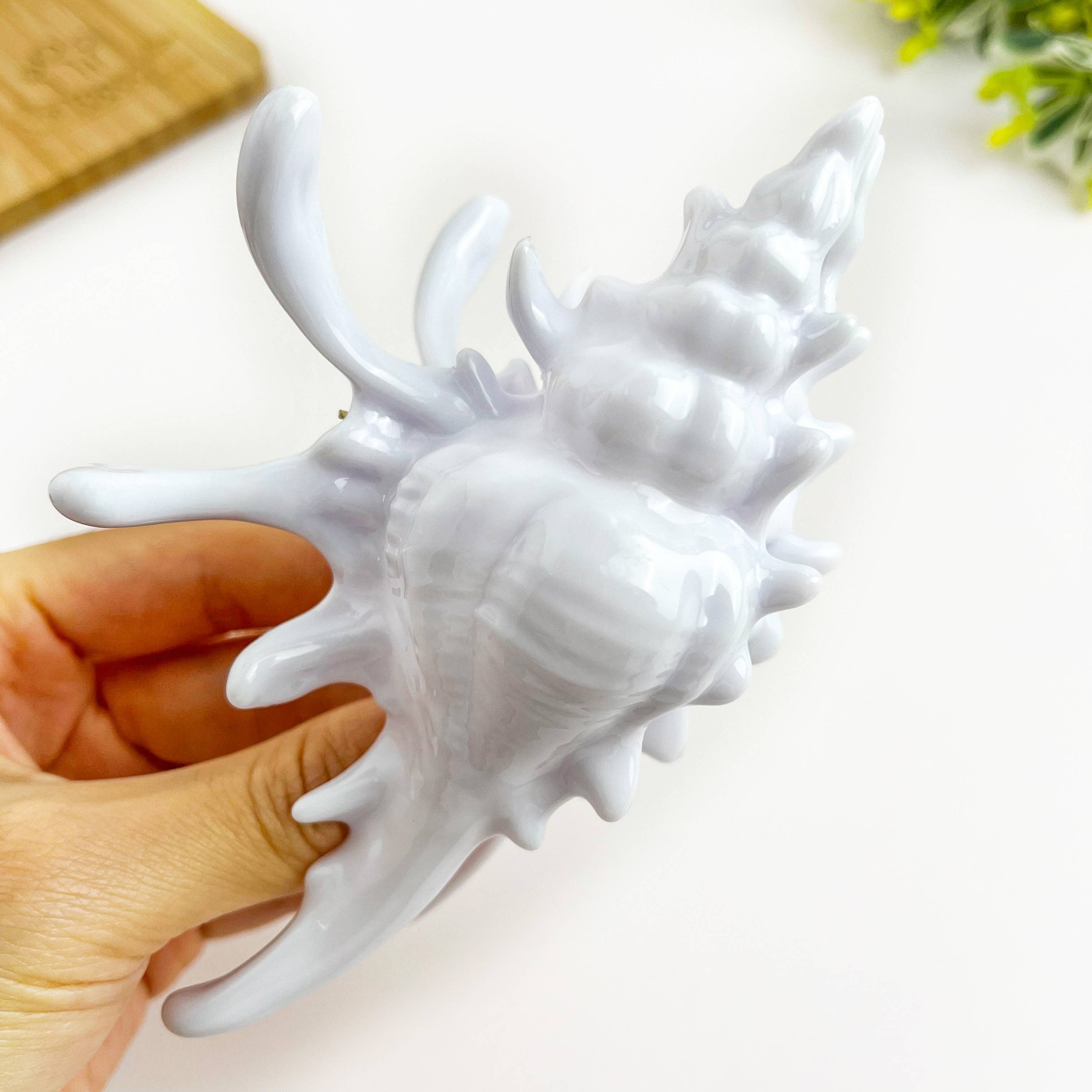 Seashell Hair Claw Clip, Ocean-Inspired Marine Hair Clip