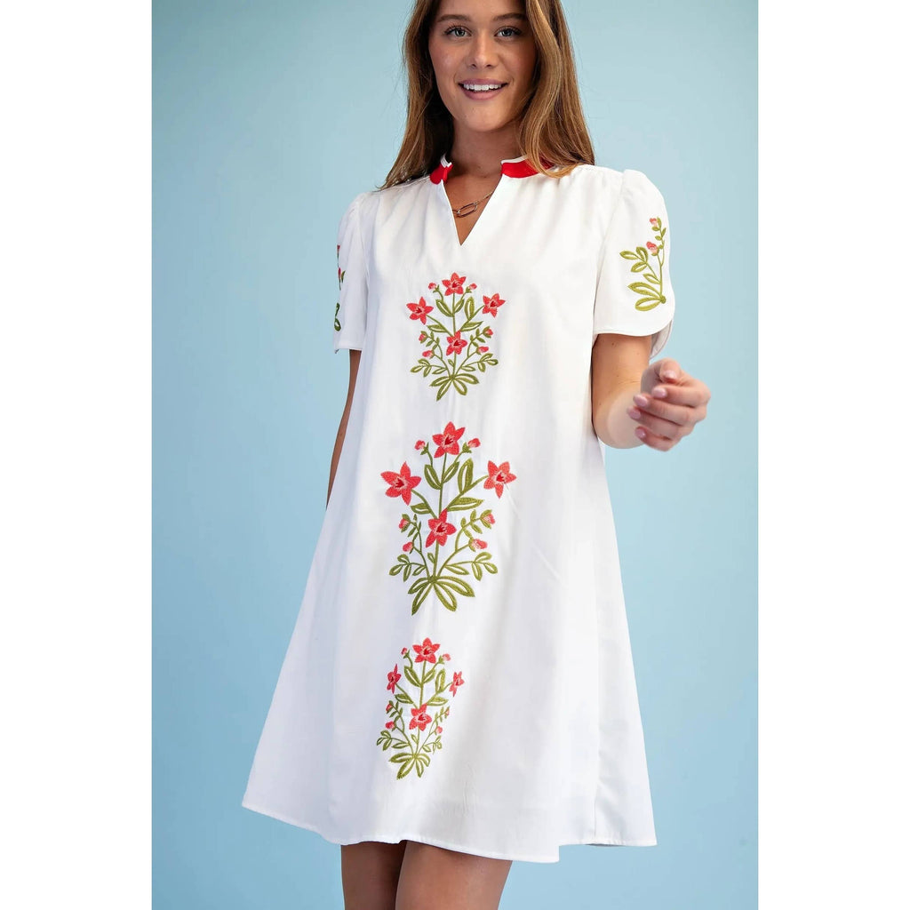 NEW Floral Embroidered V-Neck Dress
