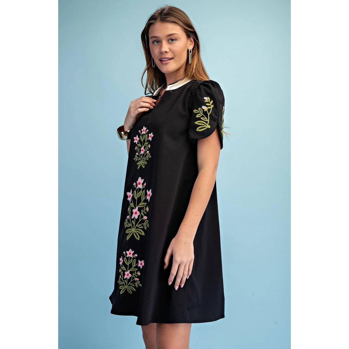 NEW Floral Embroidered V-Neck Dress