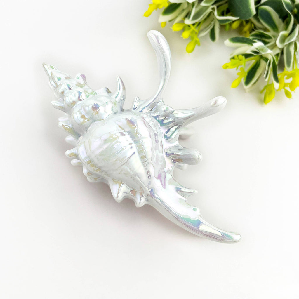 Seashell Hair Claw Clip, Ocean-Inspired Marine Hair Clip
