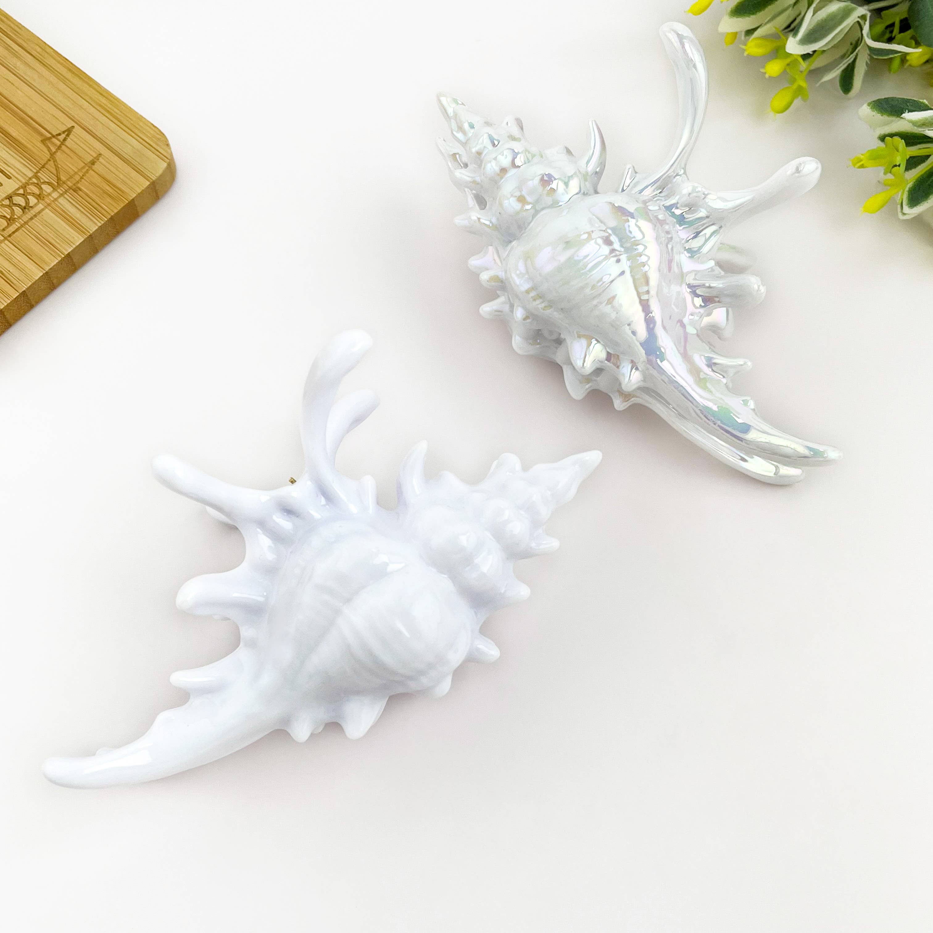 Seashell Hair Claw Clip, Ocean-Inspired Marine Hair Clip