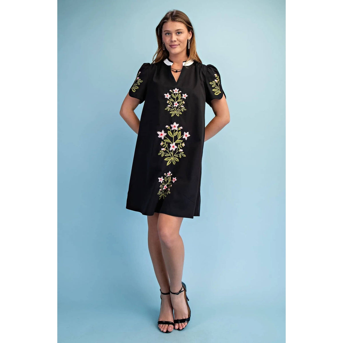 NEW Floral Embroidered V-Neck Dress