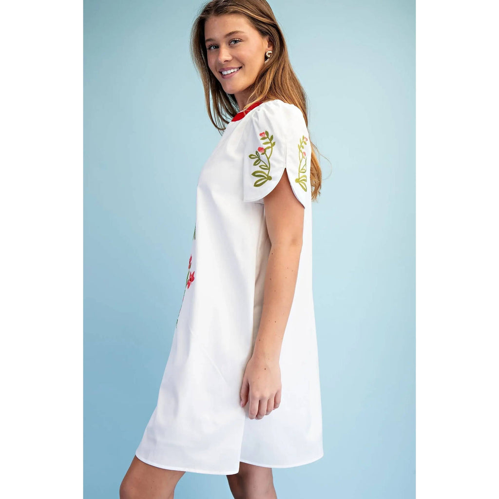 NEW Floral Embroidered V-Neck Dress