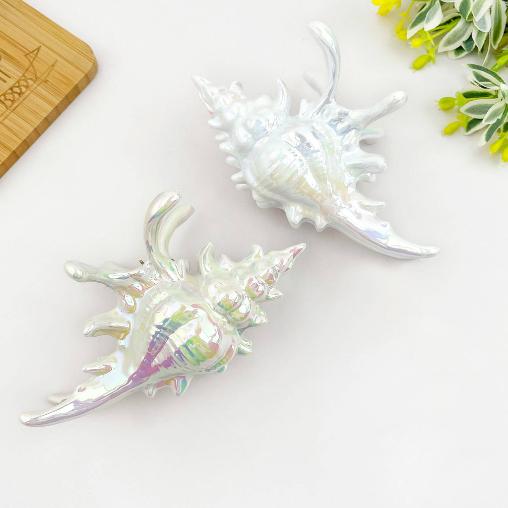 Seashell Hair Claw Clip, Ocean-Inspired Marine Hair Clip