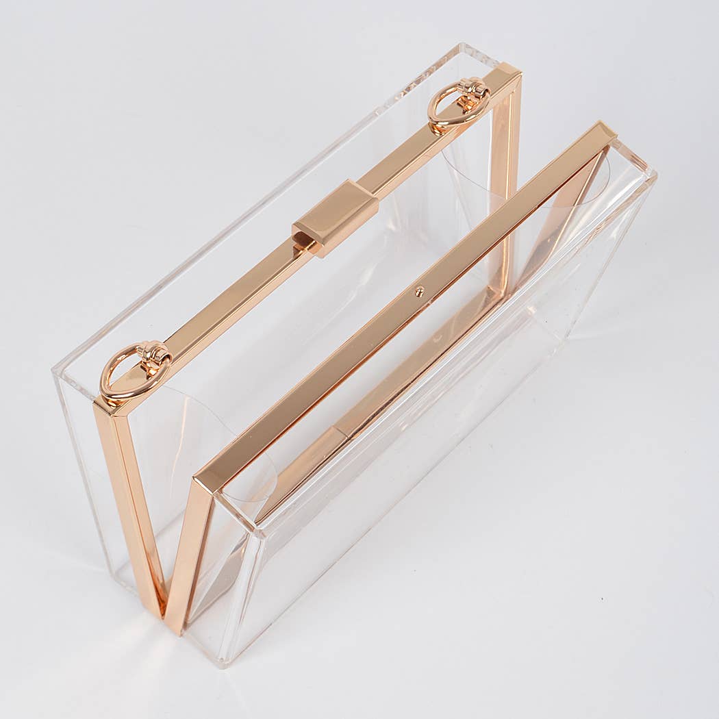 Pearl Handle Transparent Frame Clutch