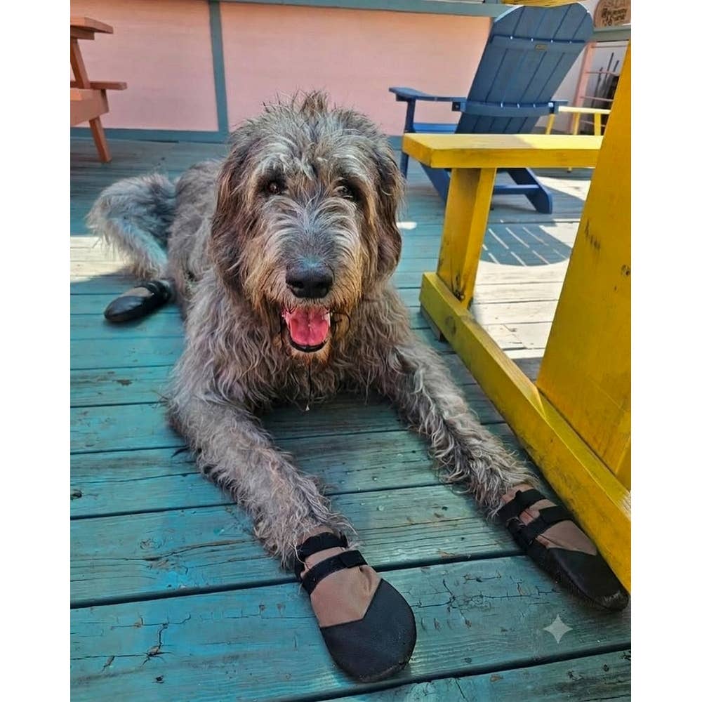 All Weather Ultras Dog Boots