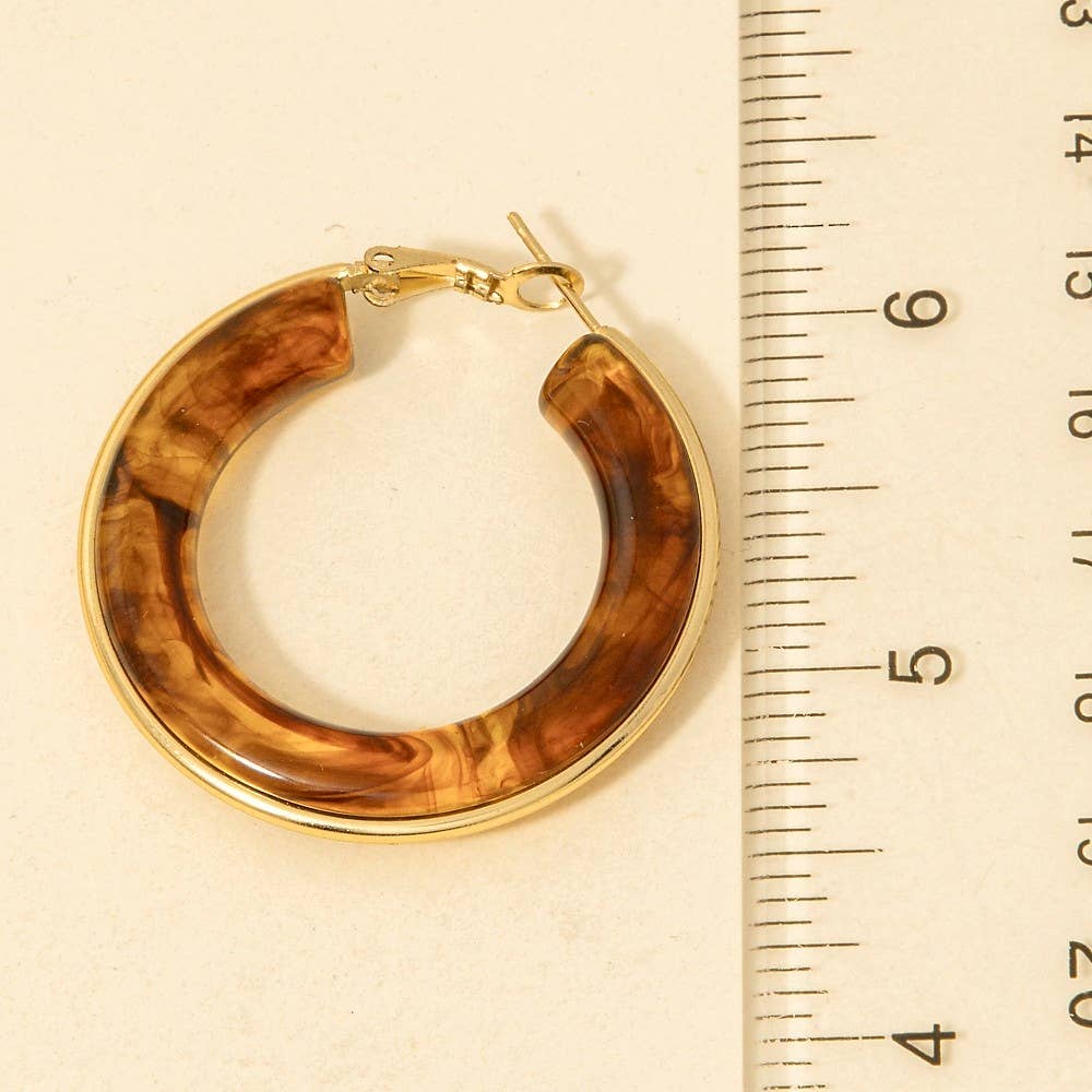 Stainless Steel Edge Acrylic Latch Hoop Earrings