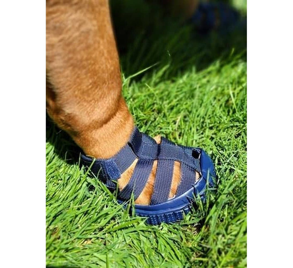 Gladiator Dog Sandals