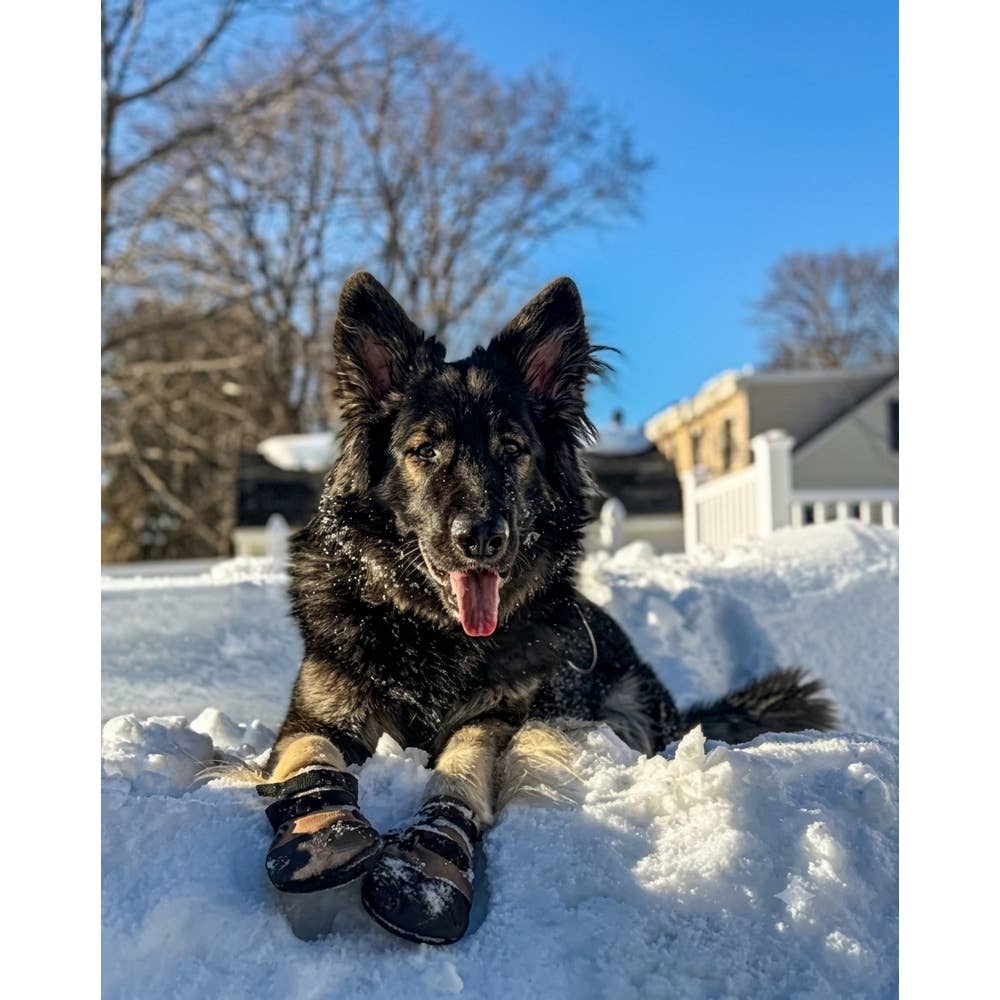 All Weather Ultras Dog Boots