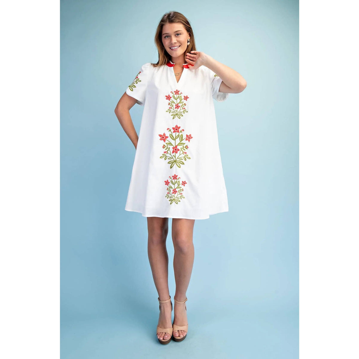 NEW Floral Embroidered V-Neck Dress