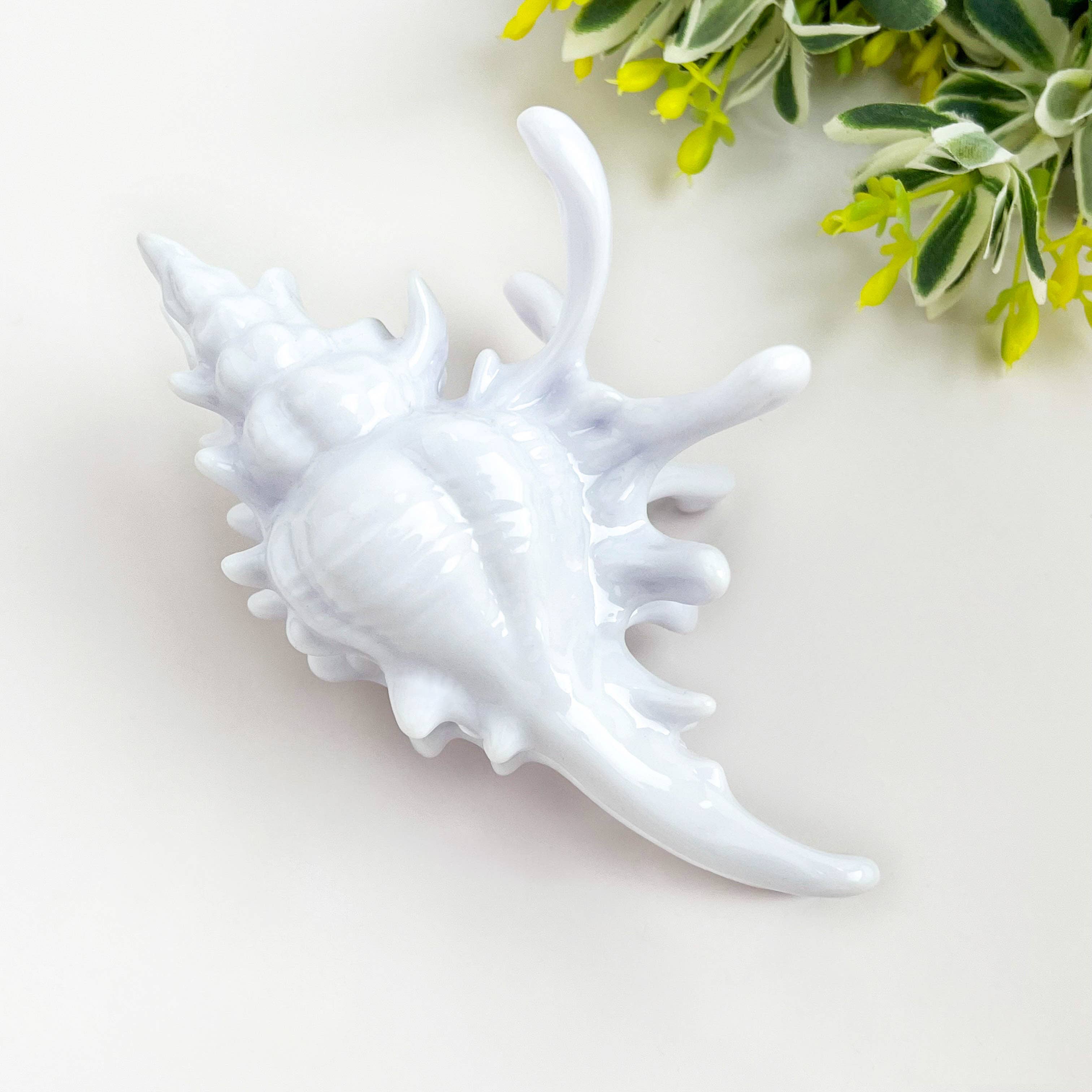 Seashell Hair Claw Clip, Ocean-Inspired Marine Hair Clip