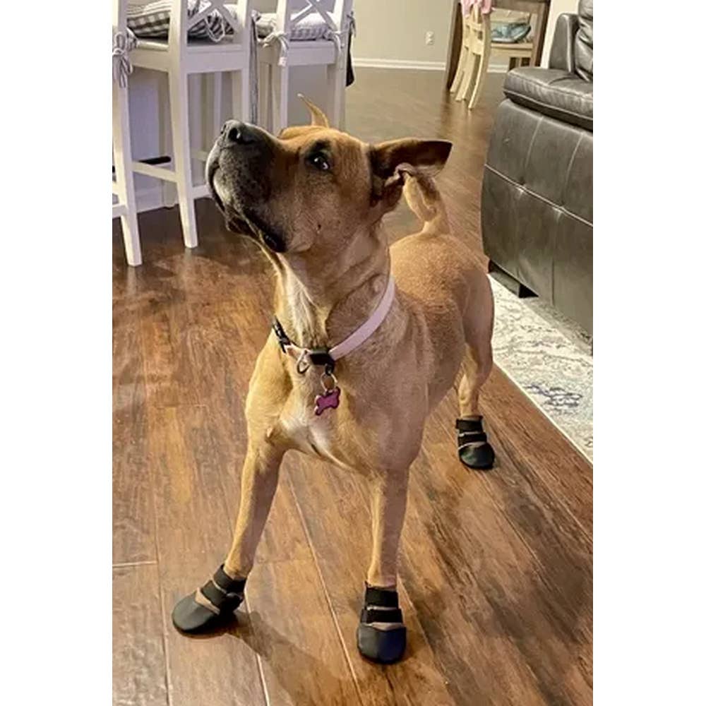 All Weather Ultras Dog Boots