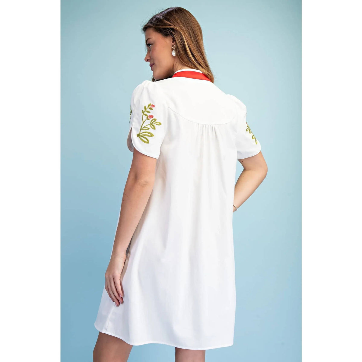 NEW Floral Embroidered V-Neck Dress